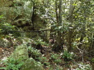 The area of the Pound Gap Massacre also known as Killing Rock.   The photograph was taken by Joanna Adams Sergent on location.