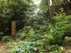 We thank you for continuing to support Kentucky Tennessee Living. As we bring to you the history of Kentucky and Tennessee.