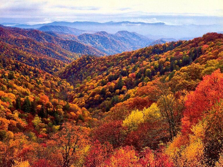 Fall in the Mountains