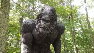 "Woodbooger" the photo was taken by Joanna Adams Sergent