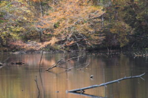 This photo was taken by Jason Helton of Helton Photography