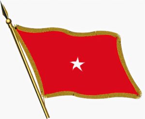 Brigadier General Flag used during battles.   Image came from a Google search.