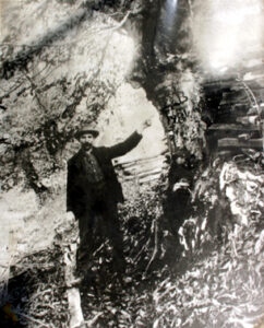 W.H. Potter photographed with the "DB 1781" Tree before it was cut down by R. L. Pilling in September of 1928.  The photographer is unknown.