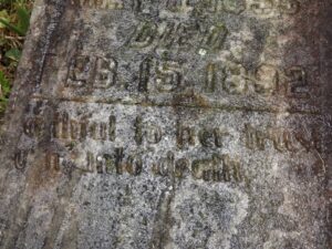 The Epitaph written on Jane Mullins Belcher's tombstone when the grass is pushed down.  The photograph was taken on the "Murder Man's Cemetery" by Joanna Adams Sergent.