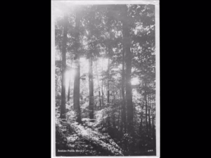 A photograph taken of Jenkins, Kentucky before construction began by Consolidation Coal Company.  This photograph was found in the Jenkins Library by Ernie Bentley.  