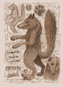 Drawings from the descriptions given by John Becker of the Dwayyo