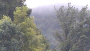 There are no photographs available for John Venters.  This photo was taken looking up to Pine Mountain by Joanna Adams Sergent